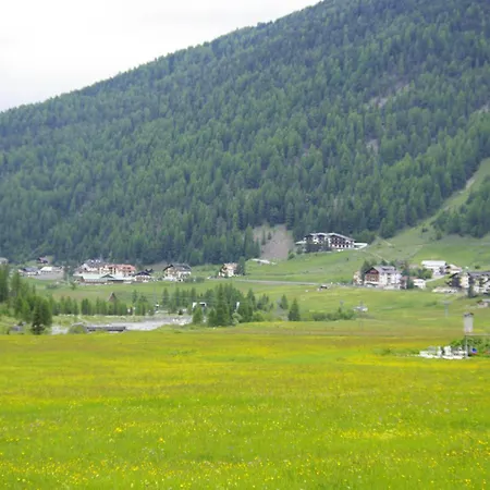 Montana 3*